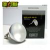 Hagen Exo-Terra Solar Glo Sun Lamp