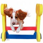 Haie Agility d'intérieur pour chien