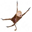 Hamak Marshall Monkey