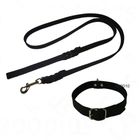 Heim Plaited Leather Lead & Riveted Dog Collar Set - Black