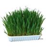 Hierba cultivable para roedores