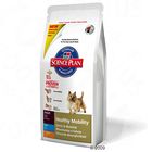 Hill's Canine Adult Healthy Mobility Mini