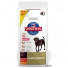 Hill's Canine Healthy Mobility Large Breed
