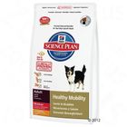 Hill's Canine Healthy Mobility Medium
