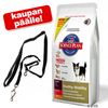 Hill's Canine -jättipakkaus + urheilutalutin kaupan päälle!