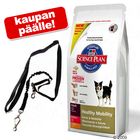 Hill's Canine -jättipakkaus + urheilutalutin kaupan päälle!