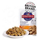 Hill's Feline Chunks & Gravy Savings Pack Pouches 24 x 100 g