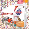 Hill's Feline 10 kg + ¡juguete para perros Shaggies gratis!