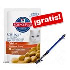 Hill's Feline 24 x 100 g + Collar My Home azul ¡gratis!