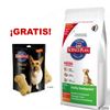 Hill's 12 kg + ¡Hill's Light snacks para perros gratis!
