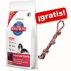 Hill's paquete grande + ¡Cuerda doble multicolor GRATIS!