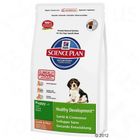 Hill's Science Plan Puppy con Agnello e Riso