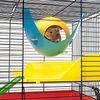 Hängehaus Sputnik small