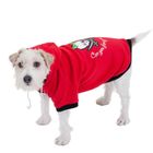 Hondentrui Pirate Hoody