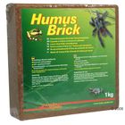 Humus para terrario Lucky Reptile