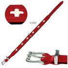 Hunter Dog Leather Collar Swiss