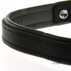 Hunter Flat Dog Collar