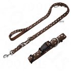 Hunter Set: Halsband Fancy Dots + Hundeleine