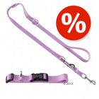 Hunter Set: Halsband + Hundeleine Ecco Sport, flieder