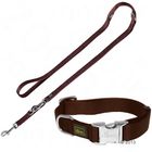 Hunter Set: Halsband Vario Basic + Hundeleine, braun