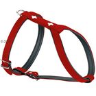 Hunter Swiss Dog Harness