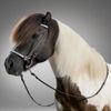 Hunter Trensenzaum Starlite