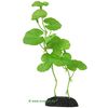 Hydrocotyle: planta acuática artificial