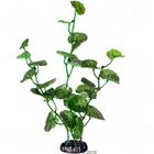Hydrocotyle - plante aquatique artificielle