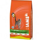 Iams Adult Agnello & Pollo