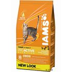 Iams Adult con Pollo