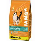 Iams Adult Hairball