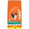 Iams Adult Hairball