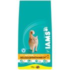 Iams Adult Light in Fat