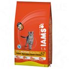 Iams Adult mit viel Huhn 300g