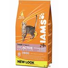 Iams Adult Salmon