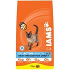 Iams Adult with Wild Ocean Fish & Chicken