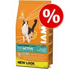 Iams Hairball Control System