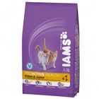 Iams Kitten & Junior