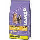 Iams Kitten & Junior con pollo