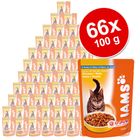 Iams 66 x 100 g sparepakke
