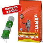 Iams-suurpakkaus + kissantunneli kaupan päälle