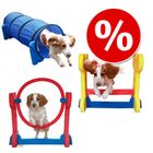 Indoor Agility Sparset