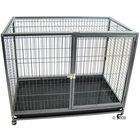 Indoor Cage Tabby II