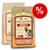 James Wellbeloved Adult Complete Turkey & Rice