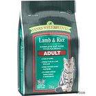 James Wellbeloved Adult Lamb & Rice Cat Food