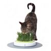 Jardin d'herbe pour chat Catit Design Senses