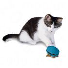 Jeu d'intelligence pour chat Funkitty Twist 'n Treat