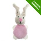 Jouet pour chat lapin en peluche avec menthe à chat