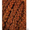 JR Farm Millet rouge des oiseaux