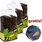JR Farm Pokarm dla świnek morskich + Snacky gratis!